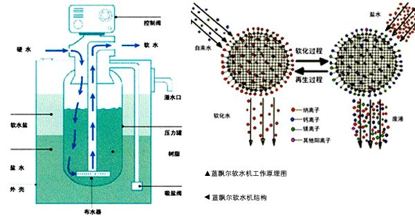 微信圖片_20250221103806